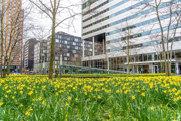 Park with Offices in Background Image